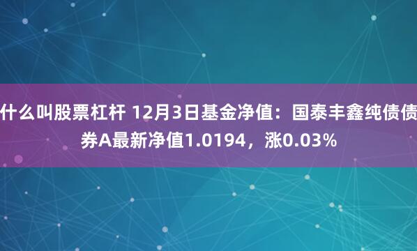 什么叫股票杠杆 12月3日基金净值：国泰丰鑫纯债债券A最新净值1.0194，涨0.03%