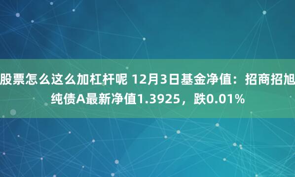 股票怎么这么加杠杆呢 12月3日基金净值：招商招旭纯债A最新净值1.3925，跌0.01%