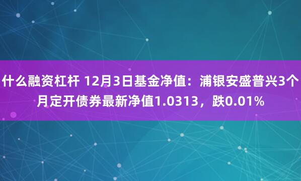 什么融资杠杆 12月3日基金净值：浦银安盛普兴3个月定开债券最新净值1.0313，跌0.01%