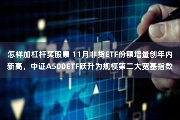 怎样加杠杆买股票 11月非货ETF份额增量创年内新高，中证A500ETF跃升为规模第二大宽基指数