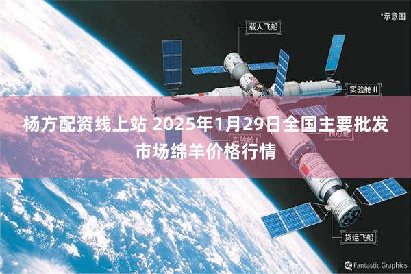 杨方配资线上站 2025年1月29日全国主要批发市场绵羊价格行情