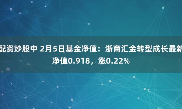 配资炒股中 2月5日基金净值：浙商汇金转型成长最新净值0.918，涨0.22%