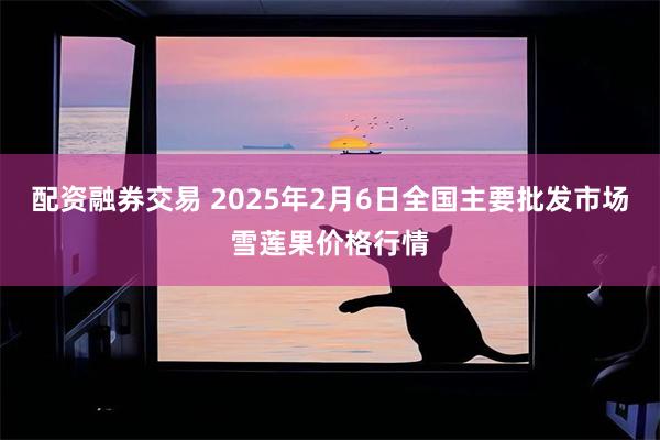 配资融券交易 2025年2月6日全国主要批发市场雪莲果价格行情