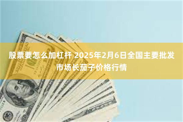 股票要怎么加杠杆 2025年2月6日全国主要批发市场长茄子价格行情