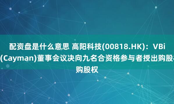 配资盘是什么意思 高阳科技(00818.HK)：VBill (Cayman)董事会议决向九名合资格参与者授出购股权